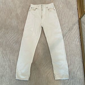 Agolde 90s Pinch Waist High Rise Straight Jeans